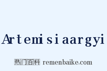 Artemisiaargyi是什么意思的图片